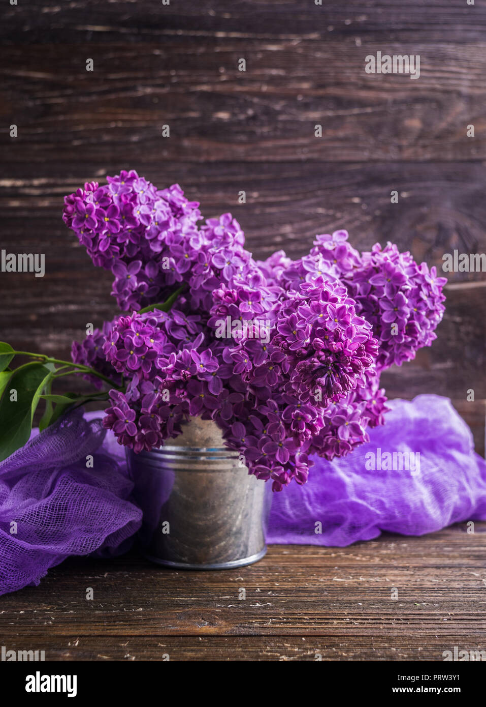 Bouquet of purple lilac flowers in small decorative tin bucket with purple dyed gauze fabric. Dark brown wooden background. Spring romantic flowers de Stock Photo