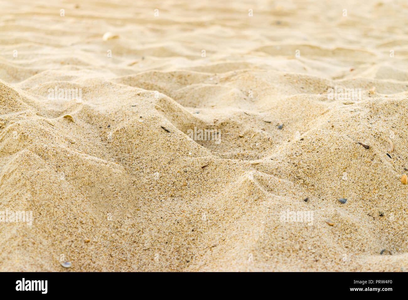 Close up of beach sand texture. Sand background with shallow depth of field. Low angle view. Stock Photo