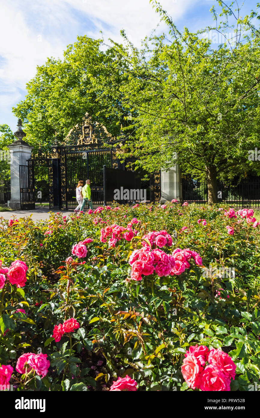 England, London, Regents Park, Queen Mary
