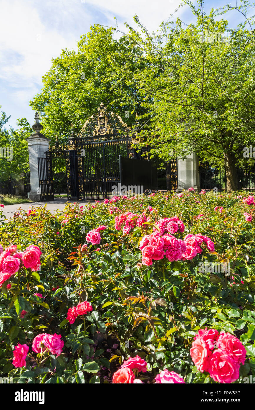 England, London, Regents Park, Queen Mary's Gardens, Roses and Jubilee Gates Stock Photo