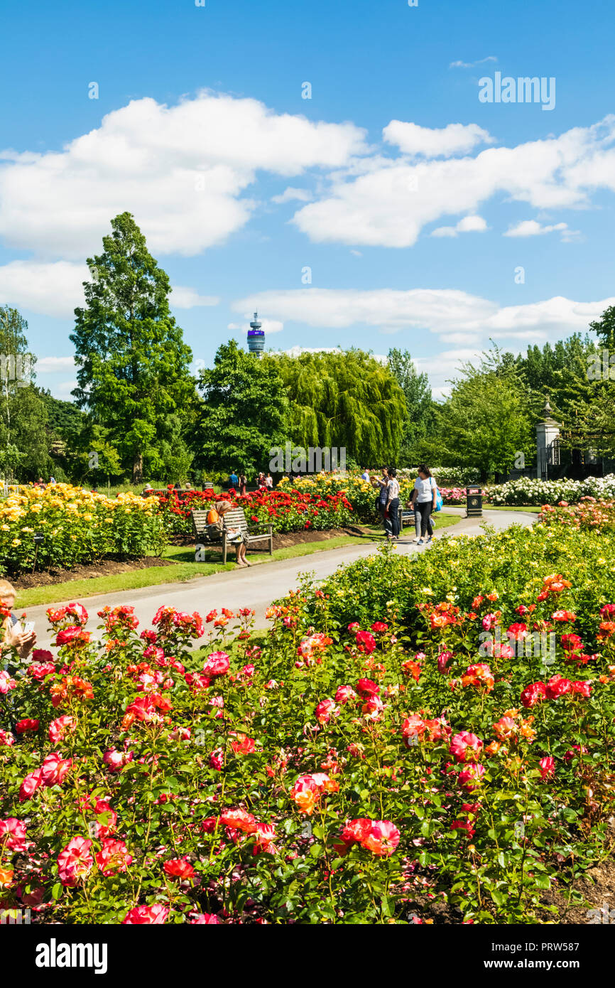 England, London, Regents Park, Queen Mary