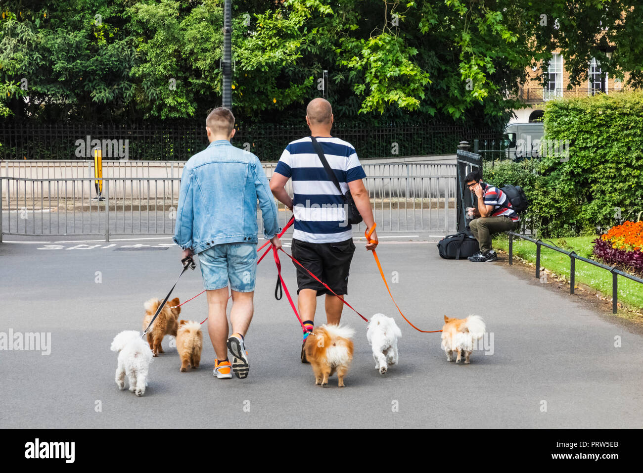 Walking dog london park hires stock photography and images Alamy