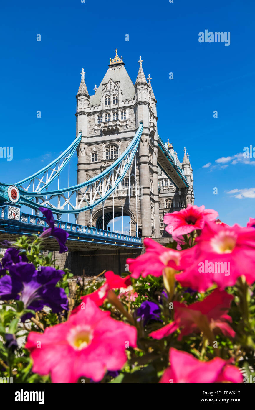 England, London, Tower Bridge with Summer Flowers in Foreground Stock Photo