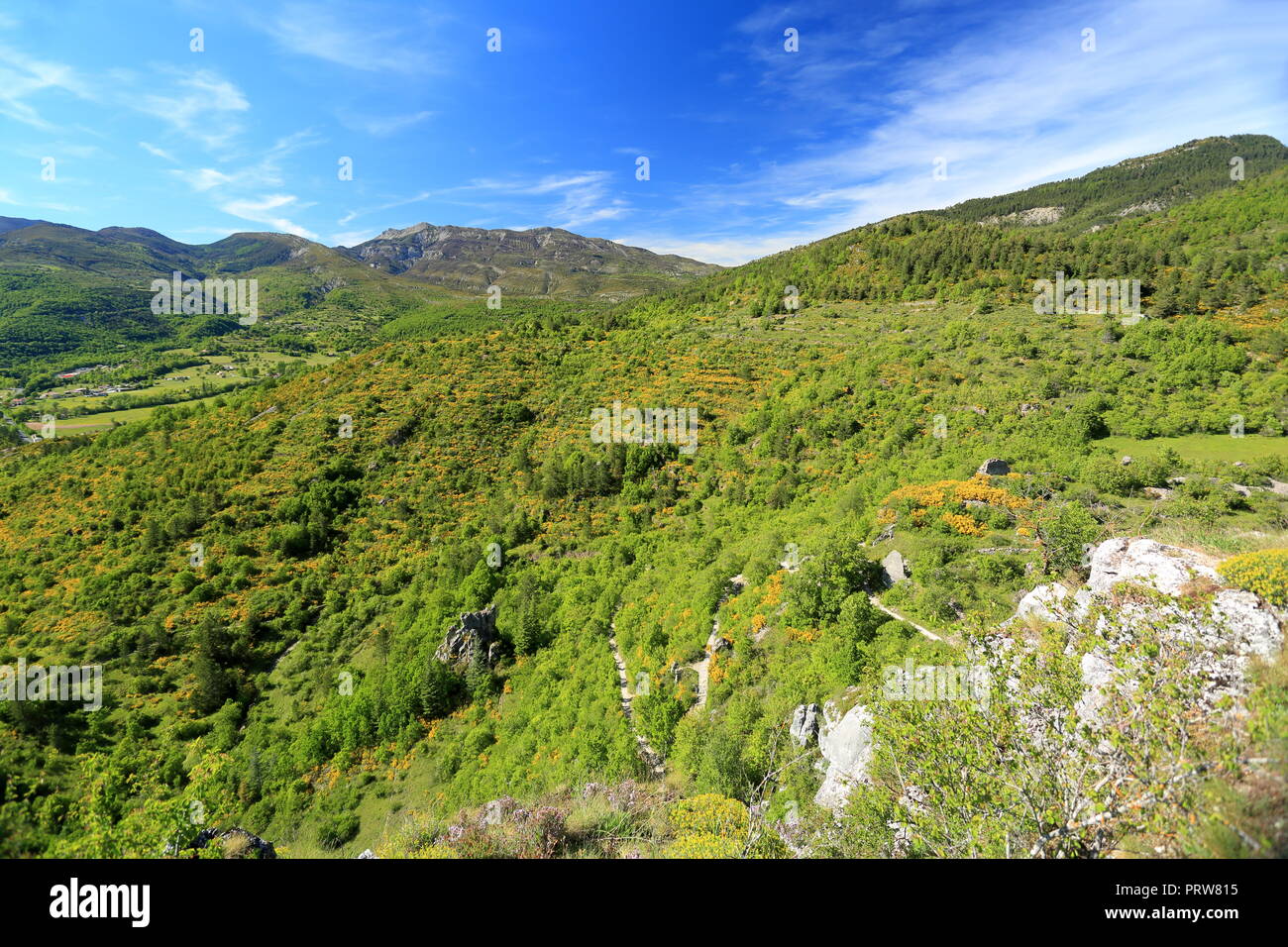 Landscape of the Parc naturel régional du Verdon, Var, 83, Provence, PACA, Stock Photo