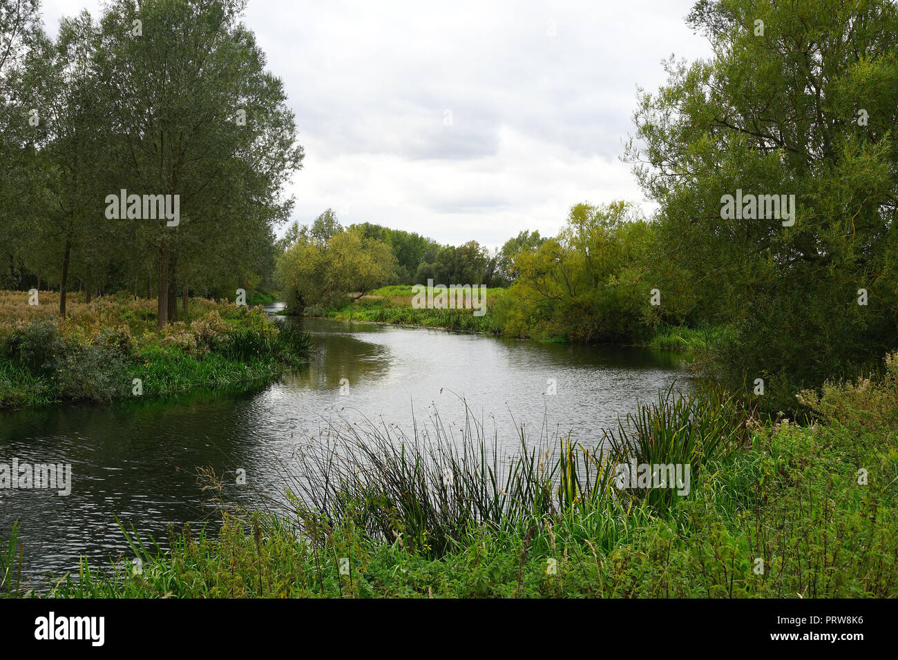 The River Nene near Oundle Stock Photo Alamy