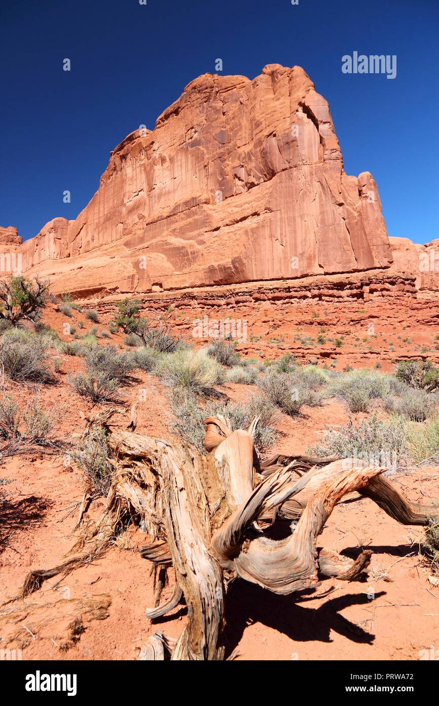 Arches National Park in Utah, USA. Famous Park Avenue trail. Stock Photo