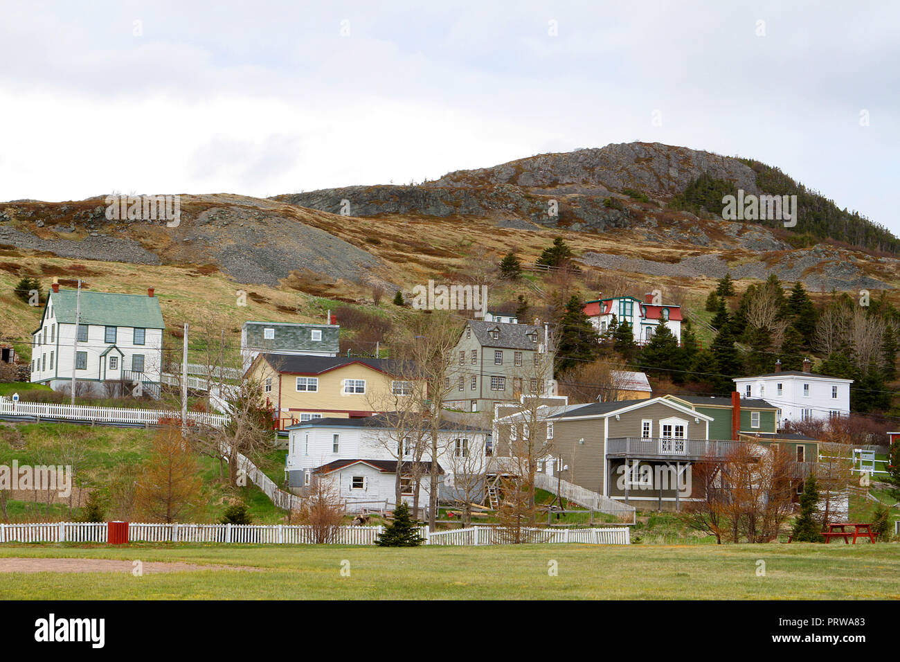 Town of Trinity. Trinity is a small town, located on Trinity Bay in