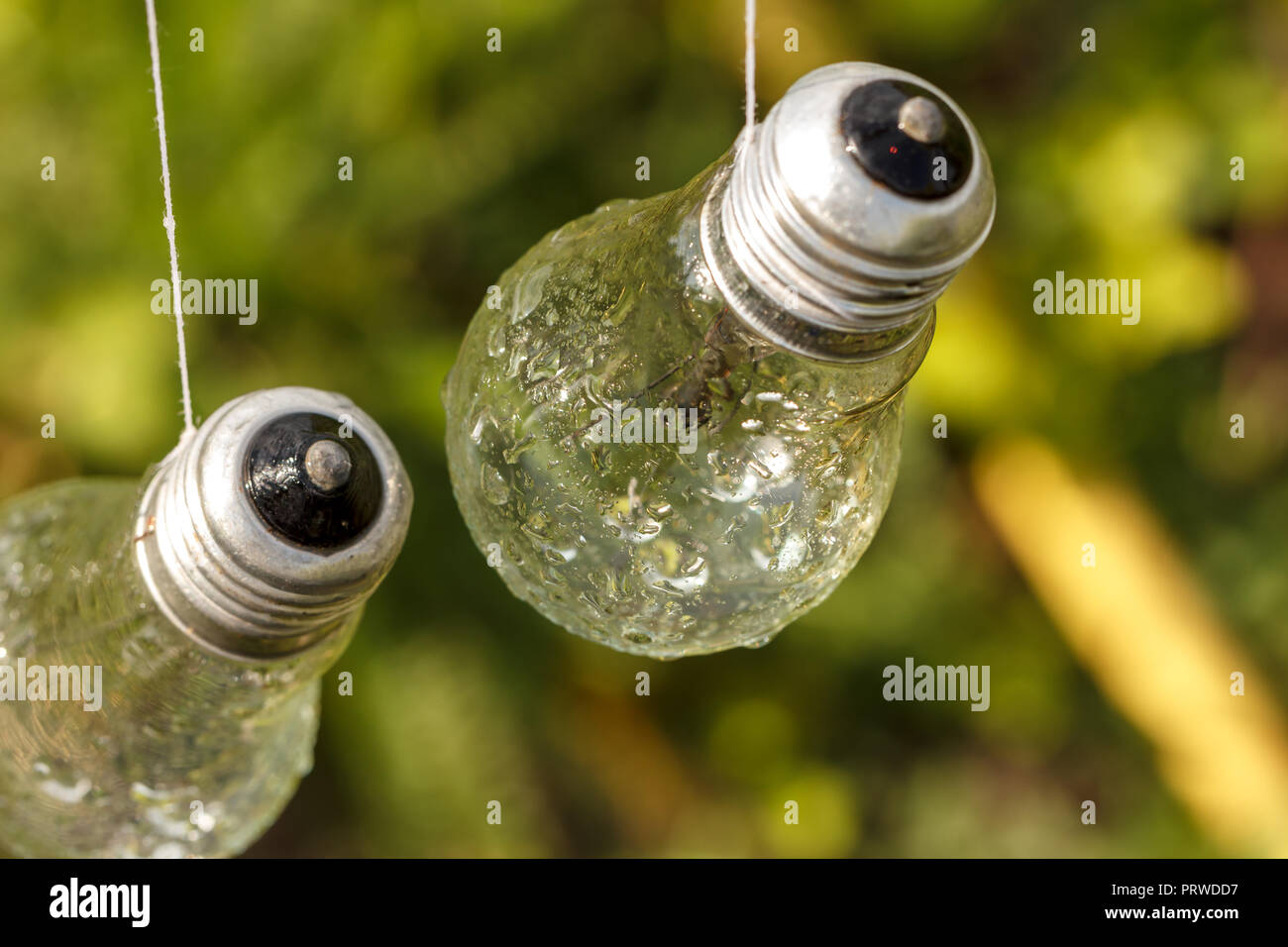 wet from the rain light bulbs hanging on a natural background, desktop