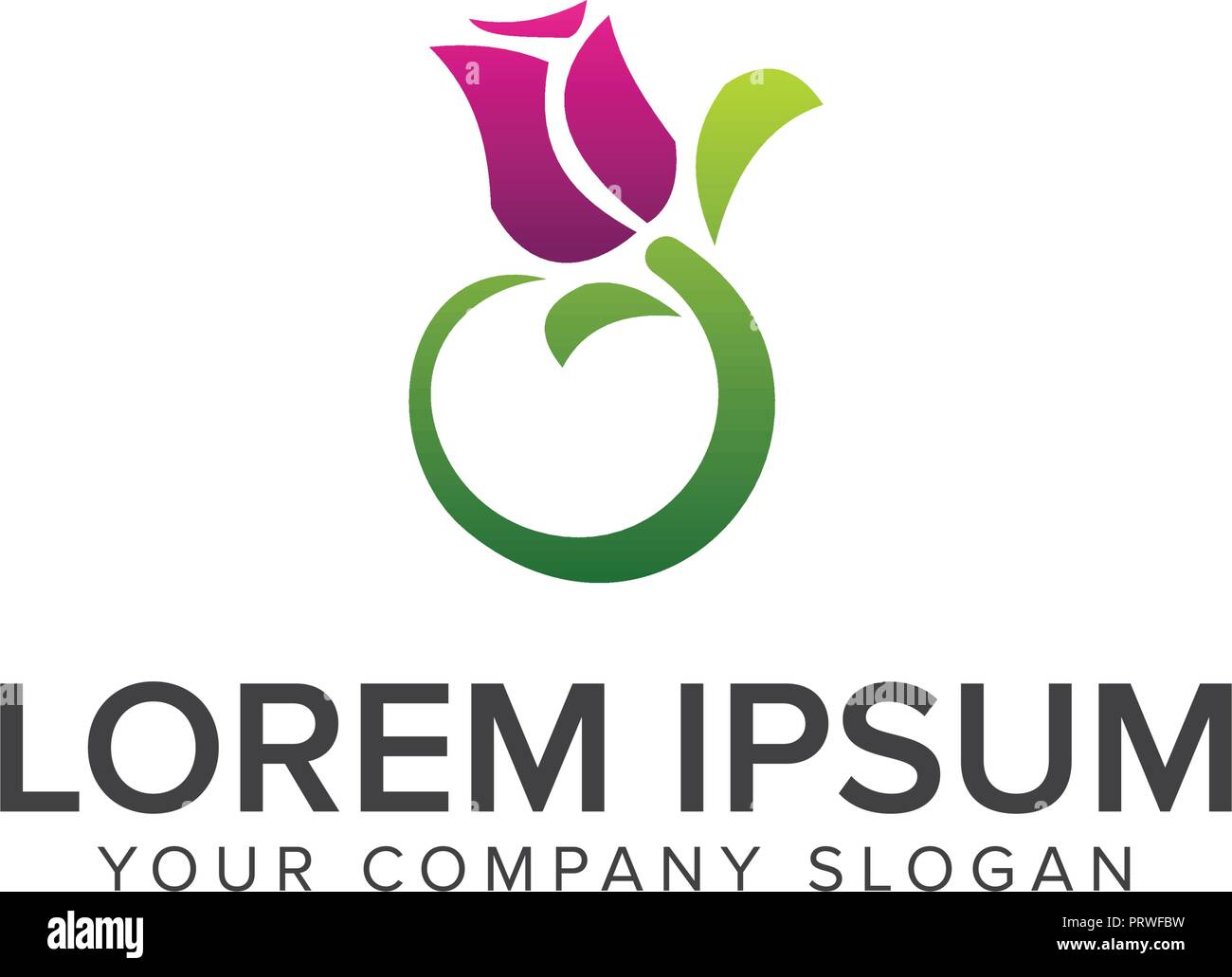 Jasmine flower isolated Stock Vector Images Alamy