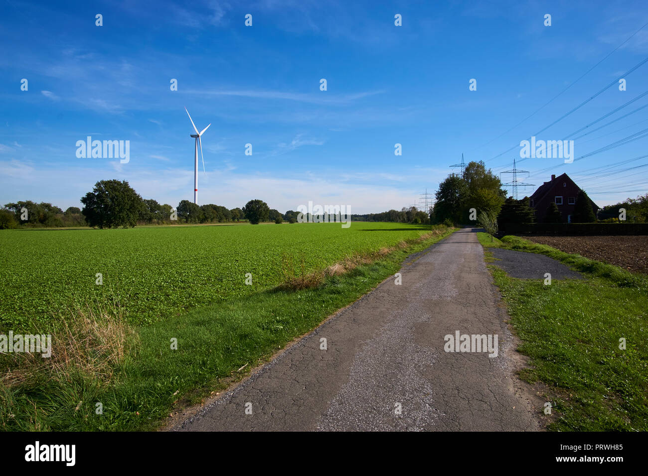 a windmill in a landscape picture and power poles Stock Photo