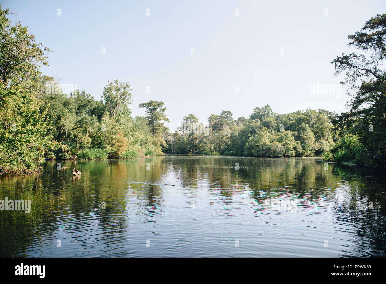Louisiana Landscape High Resolution Stock Photography and Images - Alamy