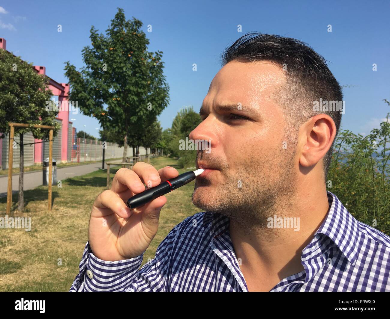 is tobacco a herb Tobacco, Virginia Smoking - Herb Seeds is tobacco a herb Tobacco, Virginia Smoking - Herb Seeds