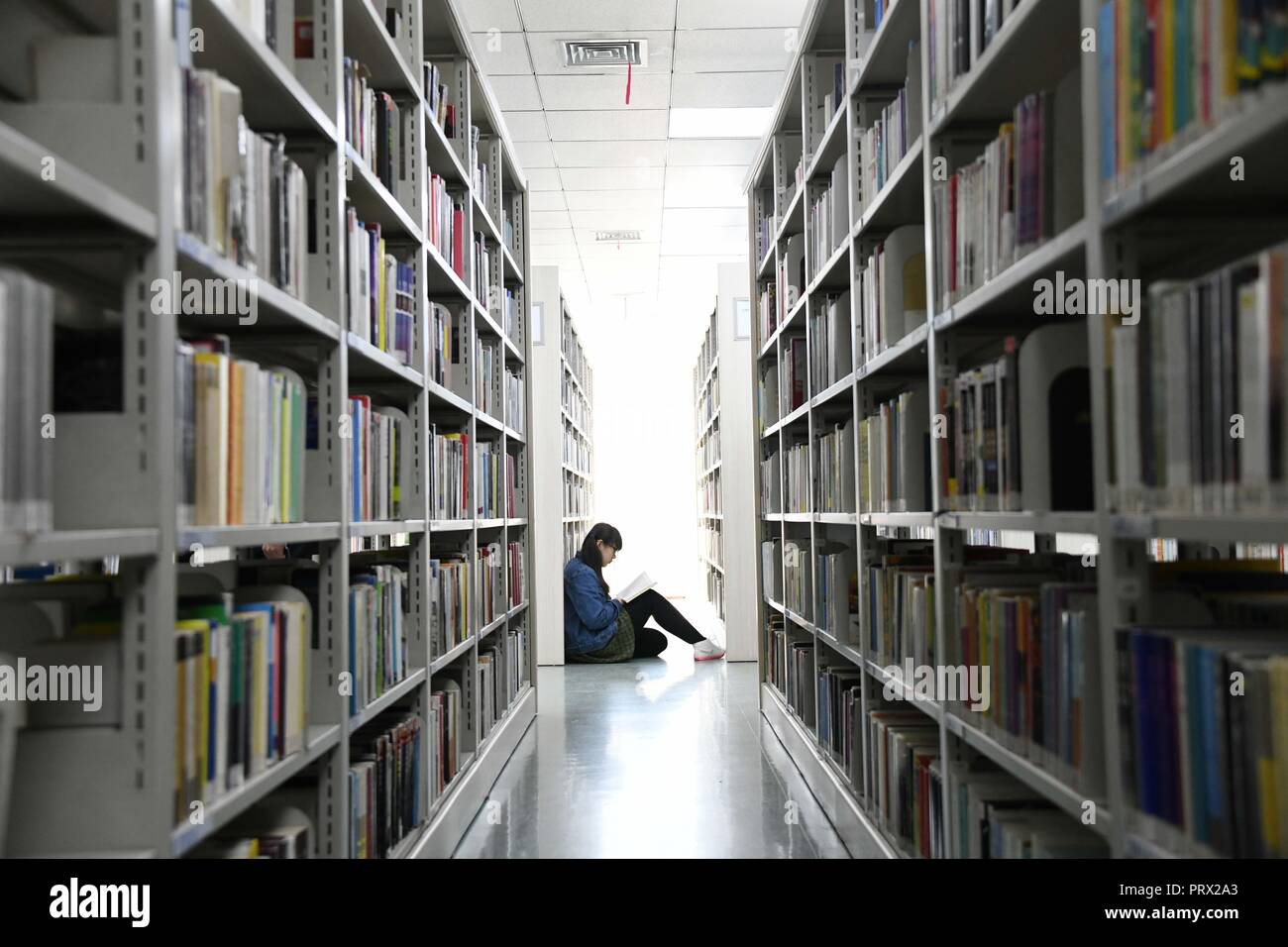 Harbin library hi-res stock photography and images - Alamy