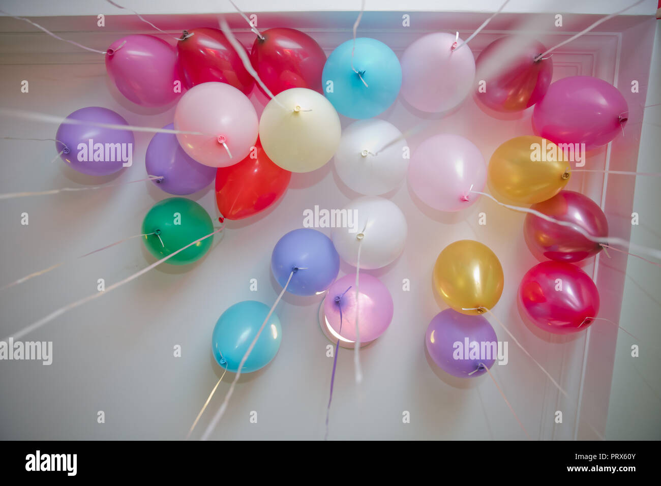 Colorfull Balloons Float On The White Ceiling In The Room
