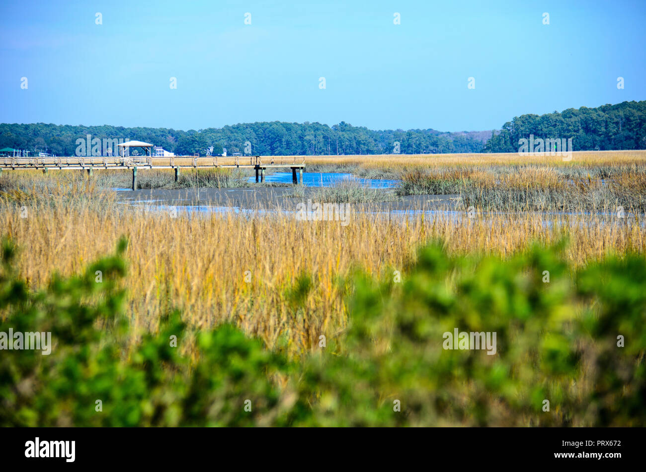 Beaufort county hires stock photography and images Alamy