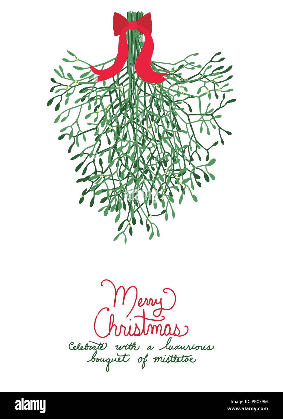 Fun huge Christmas bouquet of mistletoe hanging with red bow and handwritten text saying Merry Christmas in red letters, Cute holiday vector design Stock Photo