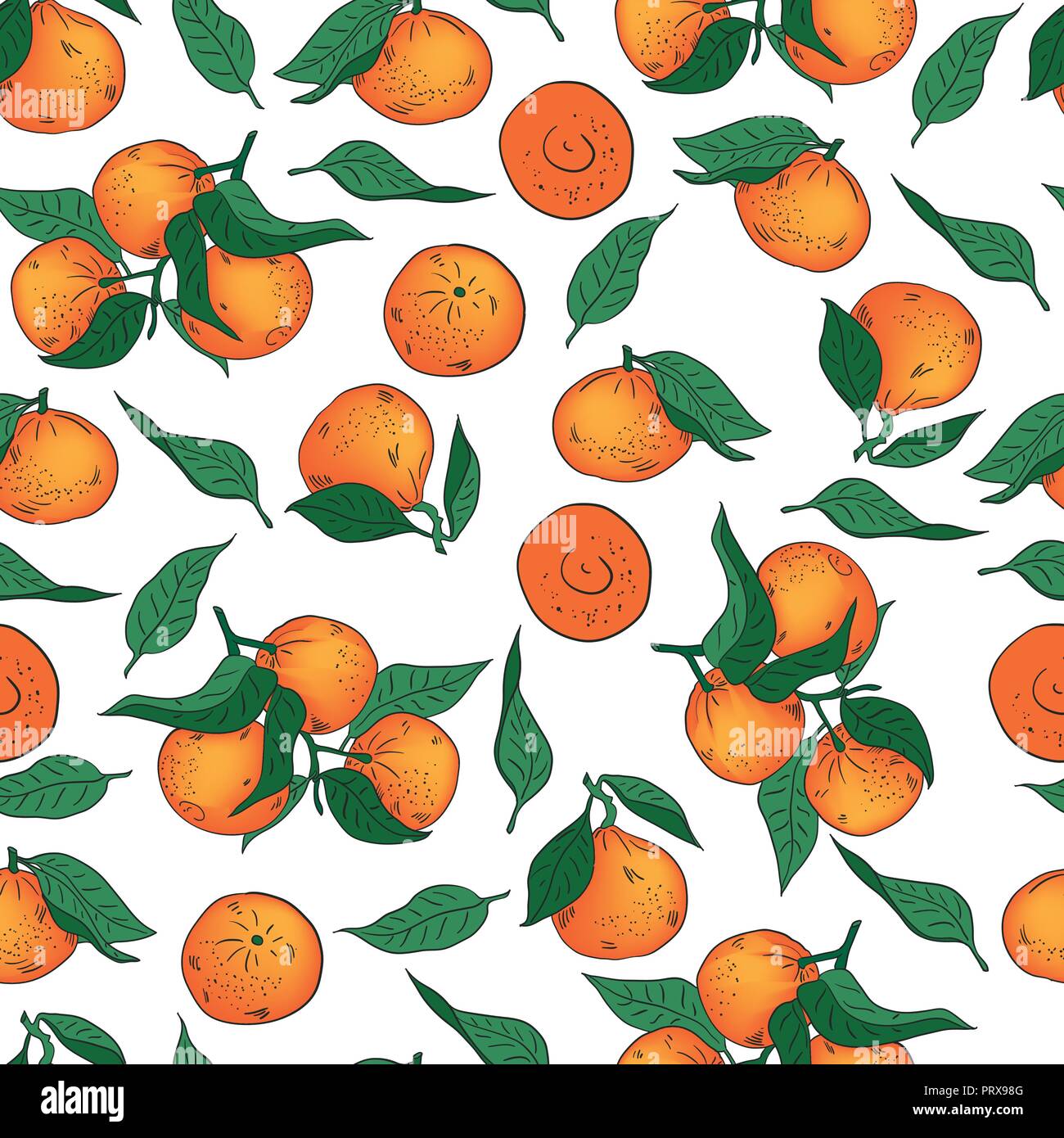 Vector illustration. Hand drawn Mandarins, clementines, citrus. Mandarin seamless pattern. Stock Vector