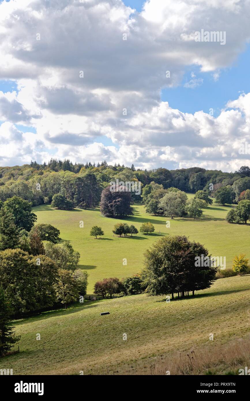British Rural Countryside Rural countryside at Ranmore Common Dorking Surrey England UK Stock ...
