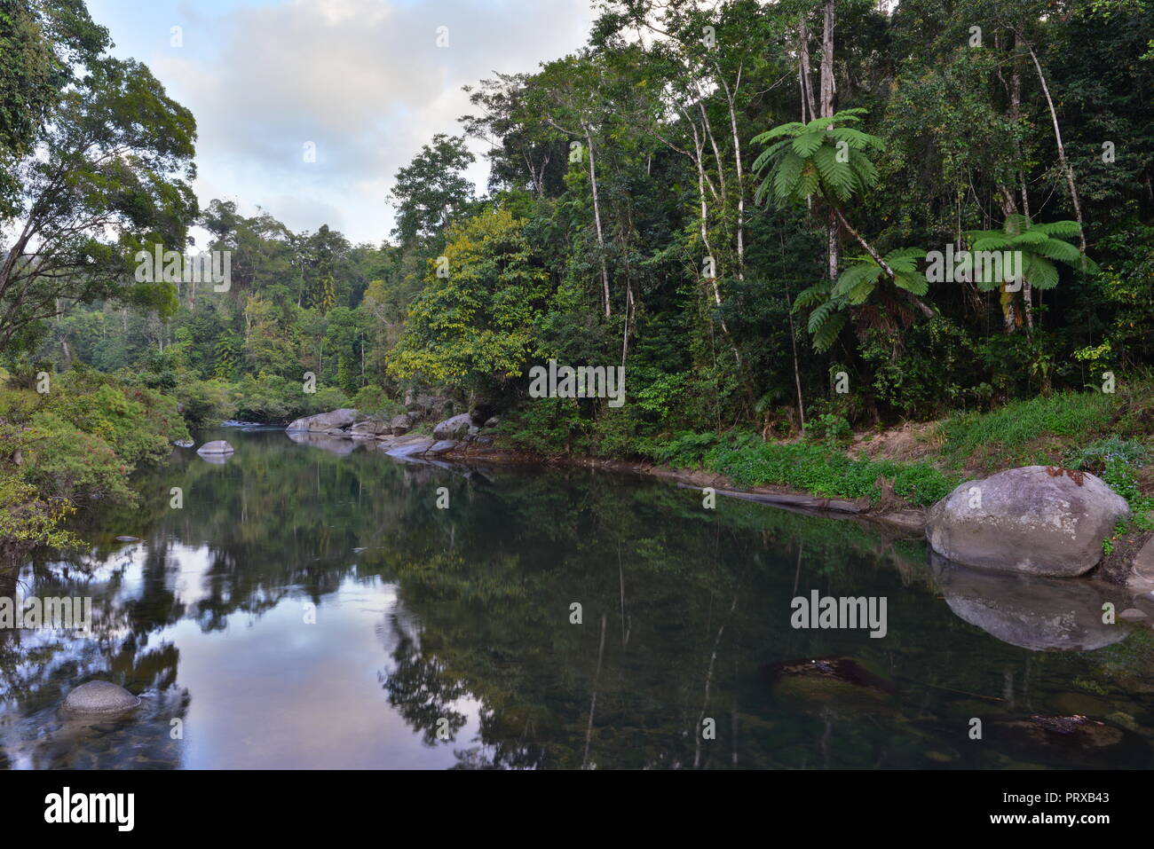 The upper reaches of South Johnstone river, South Johnstone camping