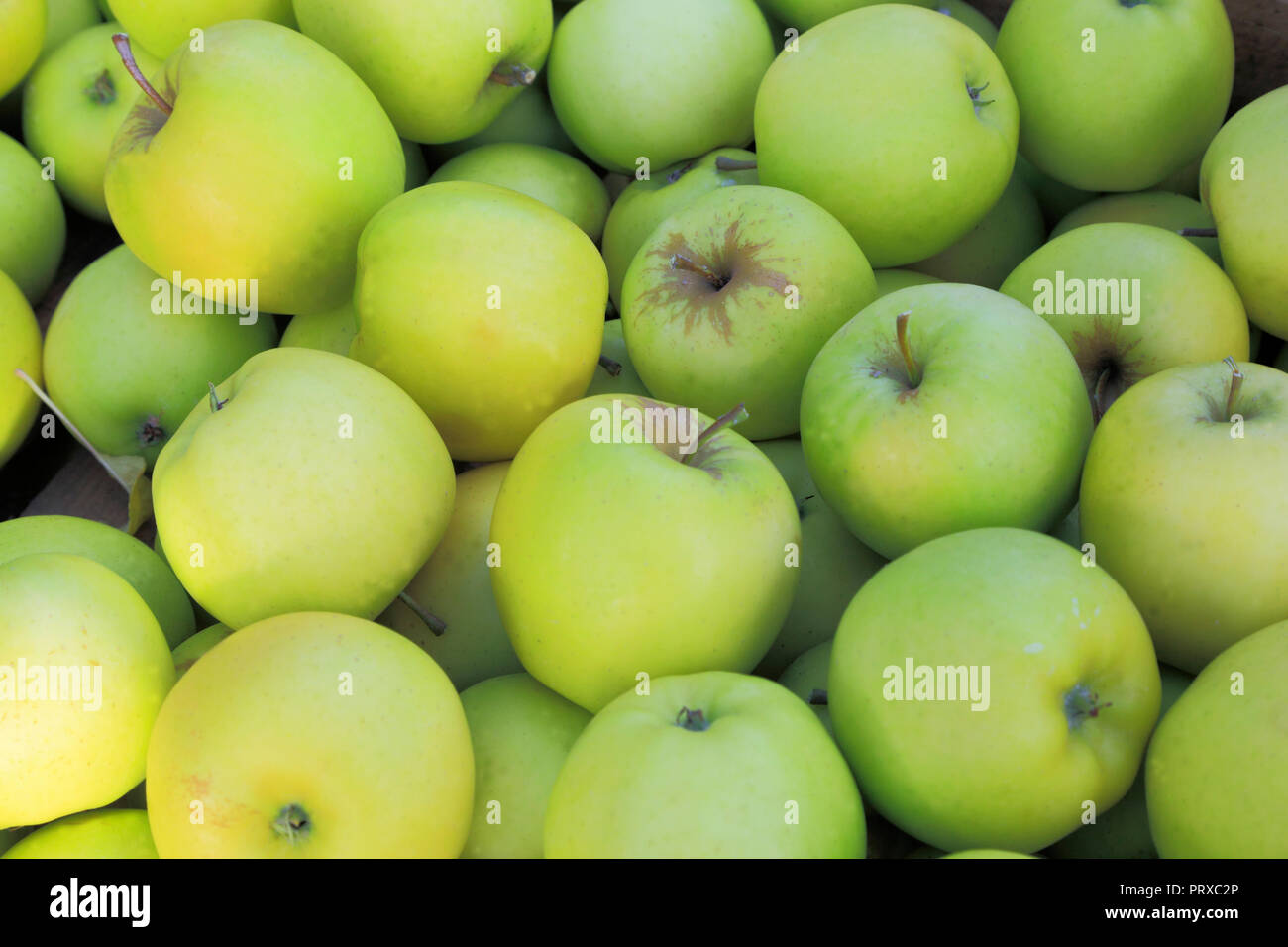 Apple, 'Oakham Pippin', apples, malus domestica, farm shop, display, edible, fruit Stock Photo