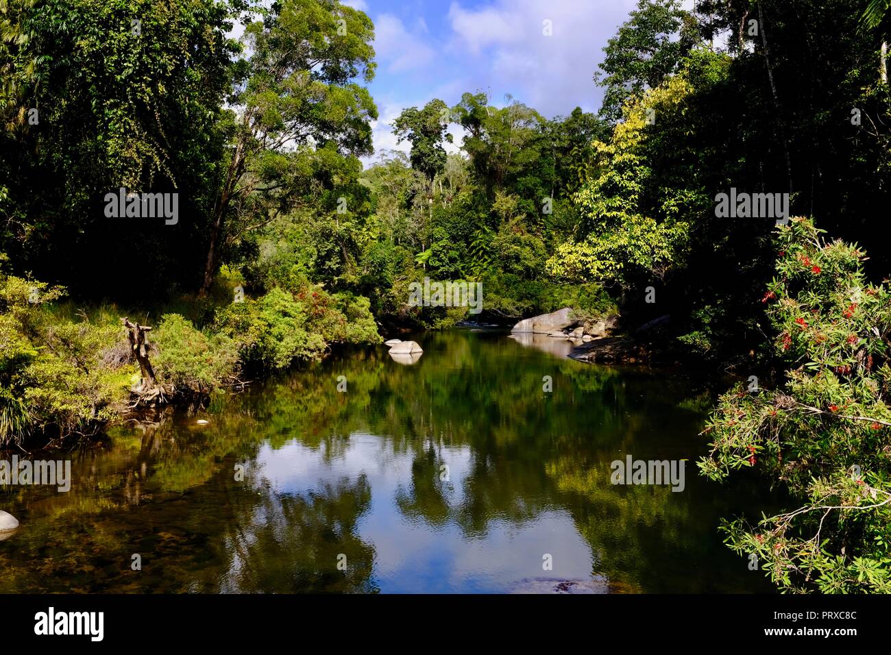 The upper reaches of South Johnstone river, South Johnstone camping area, Wooroonooran National