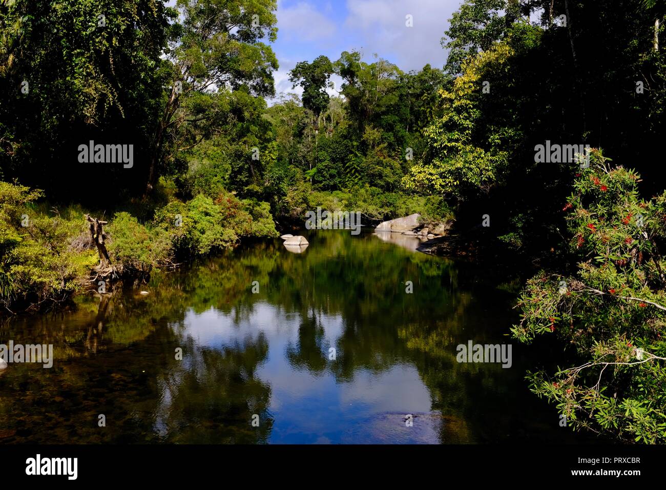 The upper reaches of South Johnstone river, South Johnstone camping