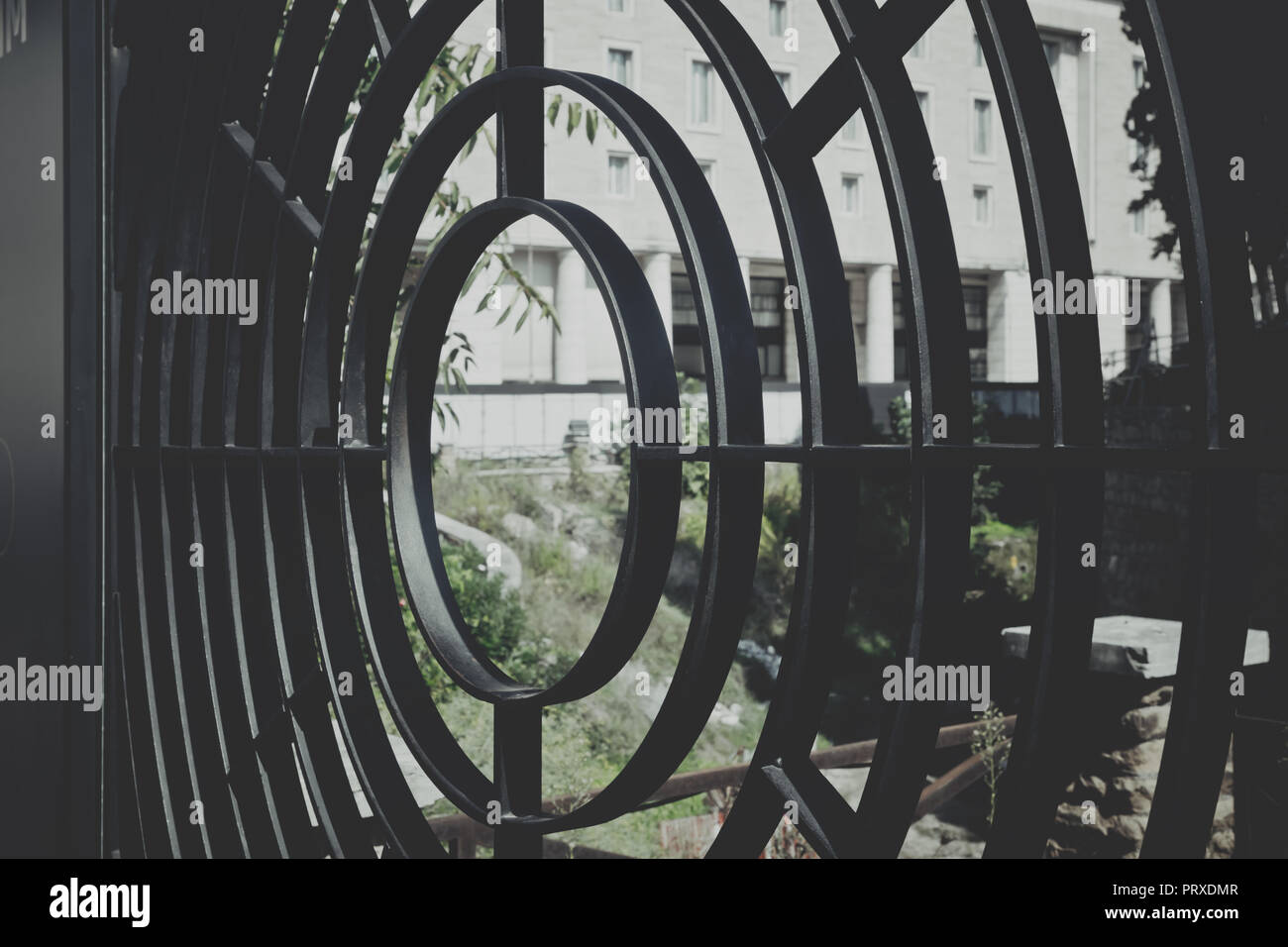 Focus between a fence Stock Photo