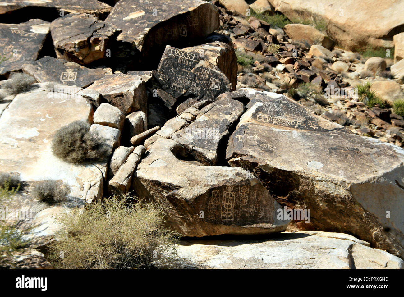 Nevada Petroglyphs on rocks bolders in desert Stock Photo