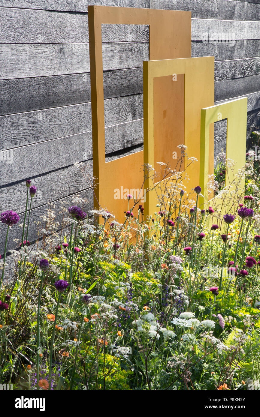 Black wood garden fence, painted steel sculptural panels, meadow style planting of Allium hollandicum 'Purple Sensation', Anthriscus sylvestris - cow  Stock Photo