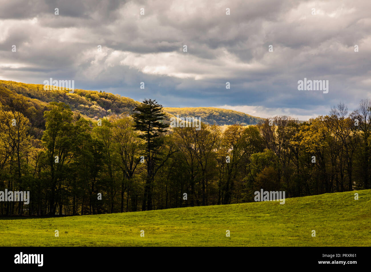 Trees Pleasant Valley, Connecticut, USA Stock Photo Alamy