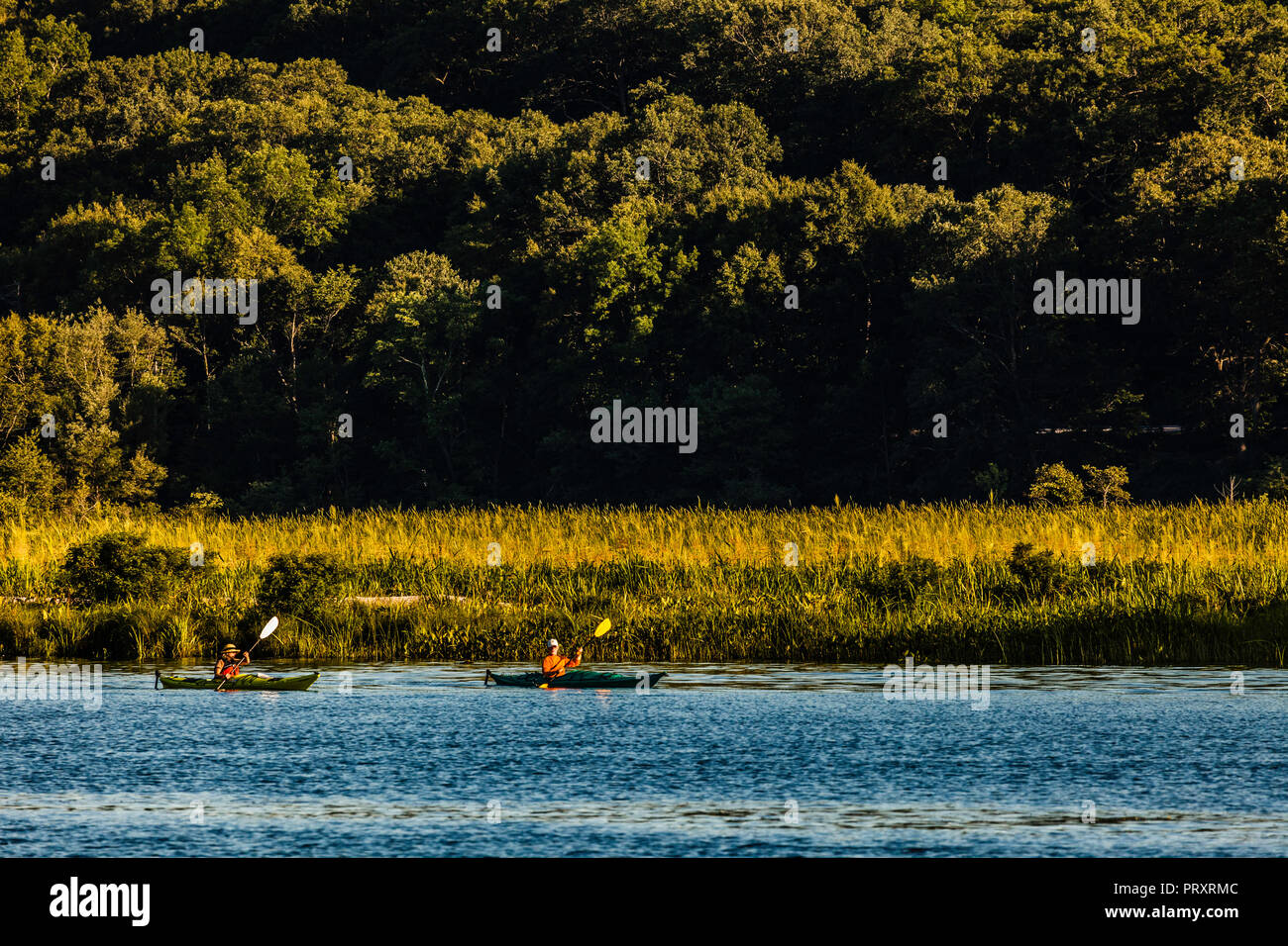 Kayaks Connecticut River Shoreline Haddam, Connecticut, USA Stock Photo