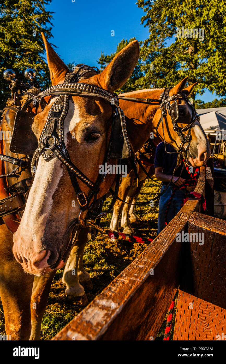 Haddam neck fair association sign hires stock photography and images