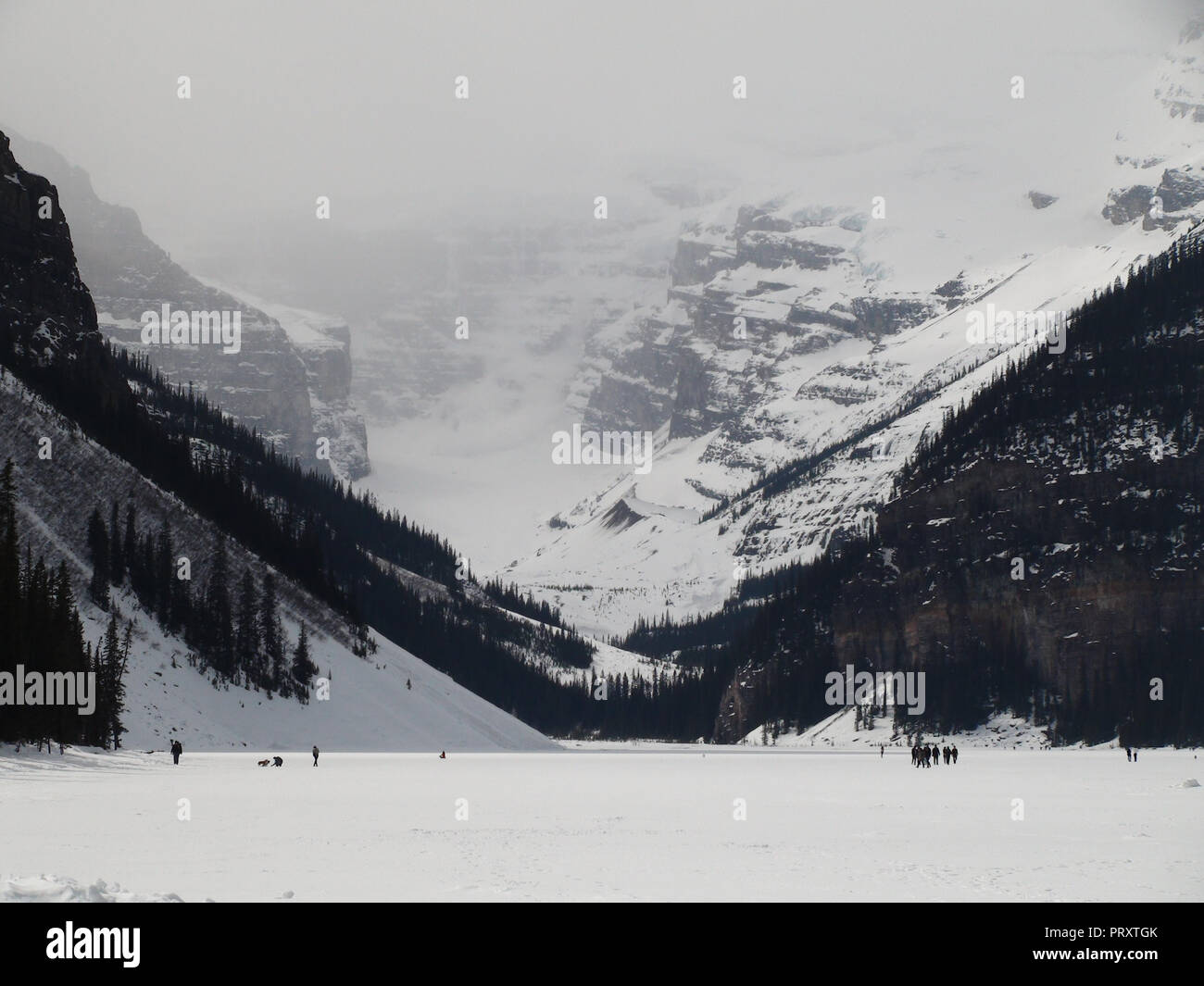 Lake Louise in Winter Stock Photo - Alamy