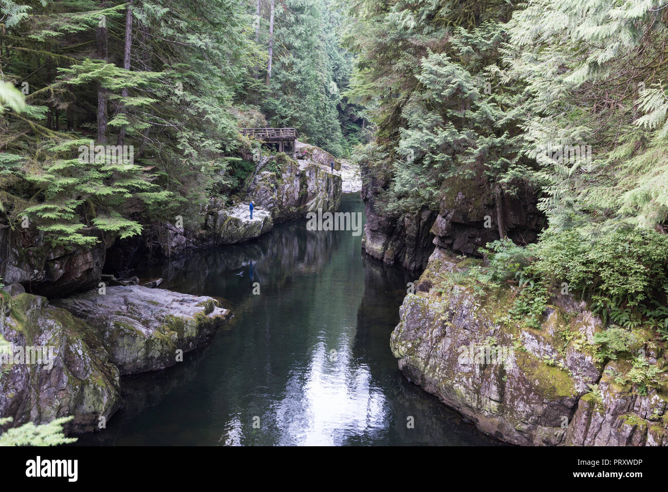 The Capilano River Cable Pool is the last stretch of water which allows sports fishing before the Fish Hatchery, North Vancouver British Columbia. Stock Photo
