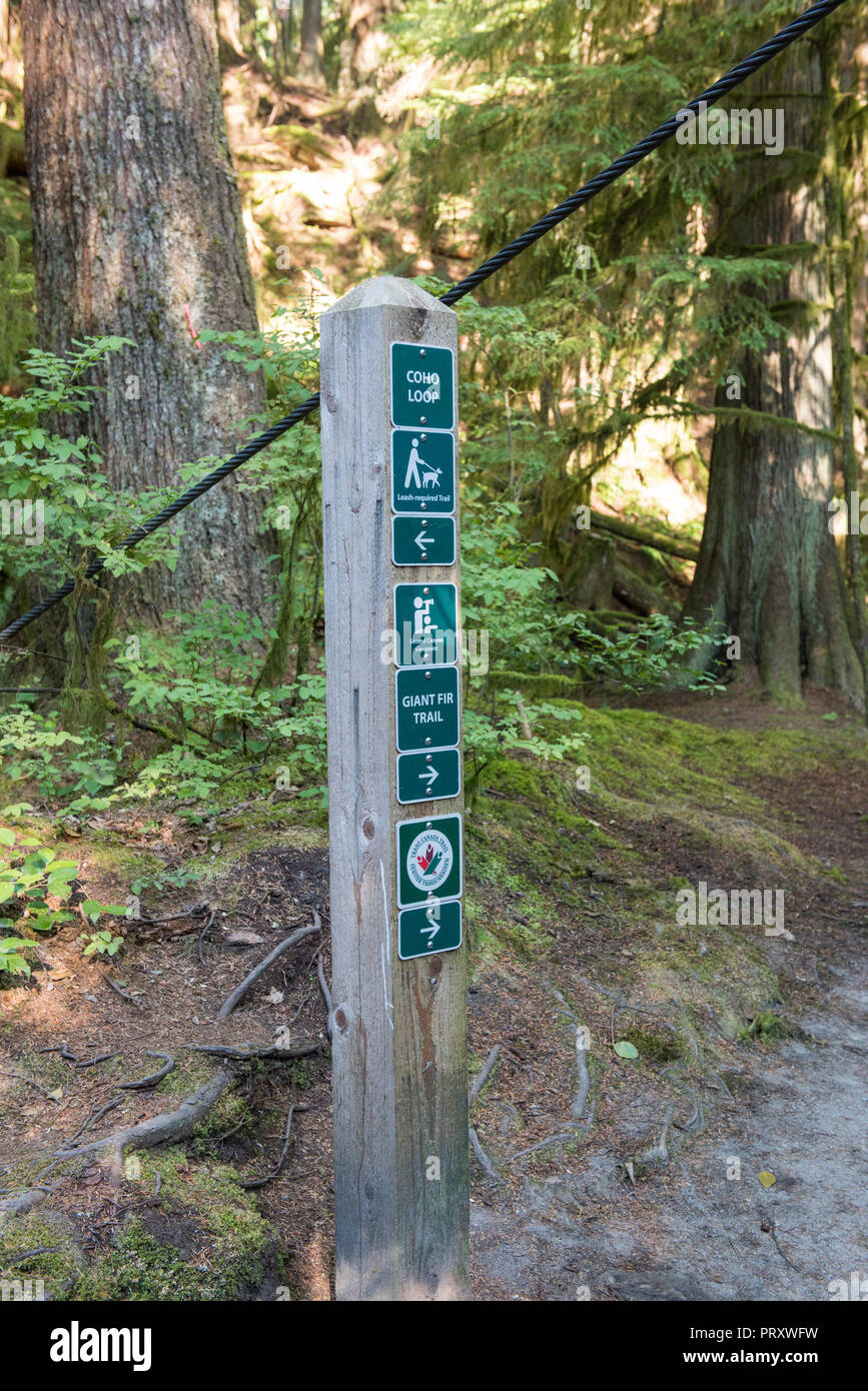 Capilano River Regional Park wooden post trail marker, north Vancouver, British Columbia. Stock Photo