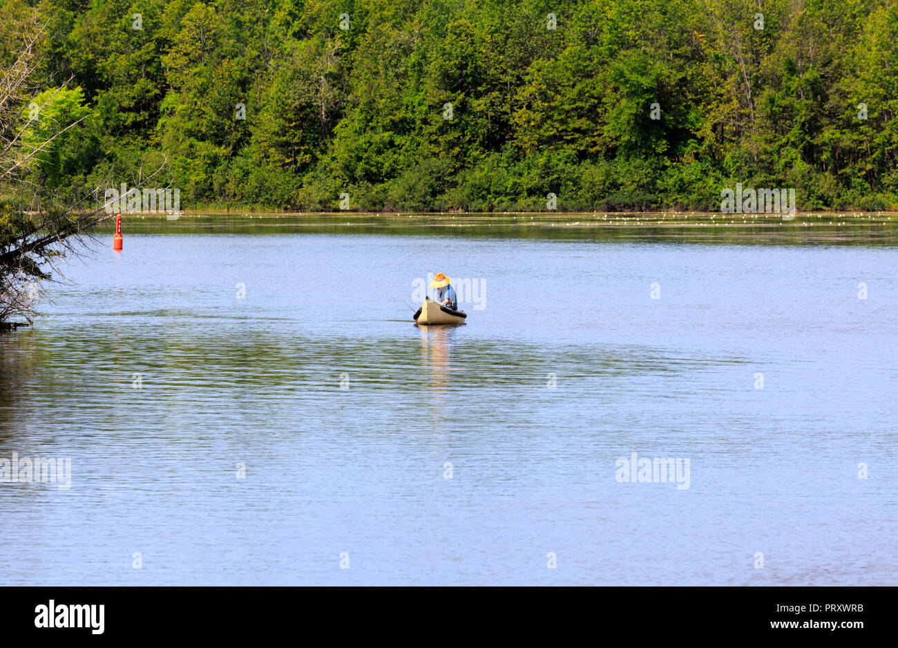 Fisherman in a traditional canoe on the Trent Severn Waterway, Kawartha Lakes, Ontario Stock Photo