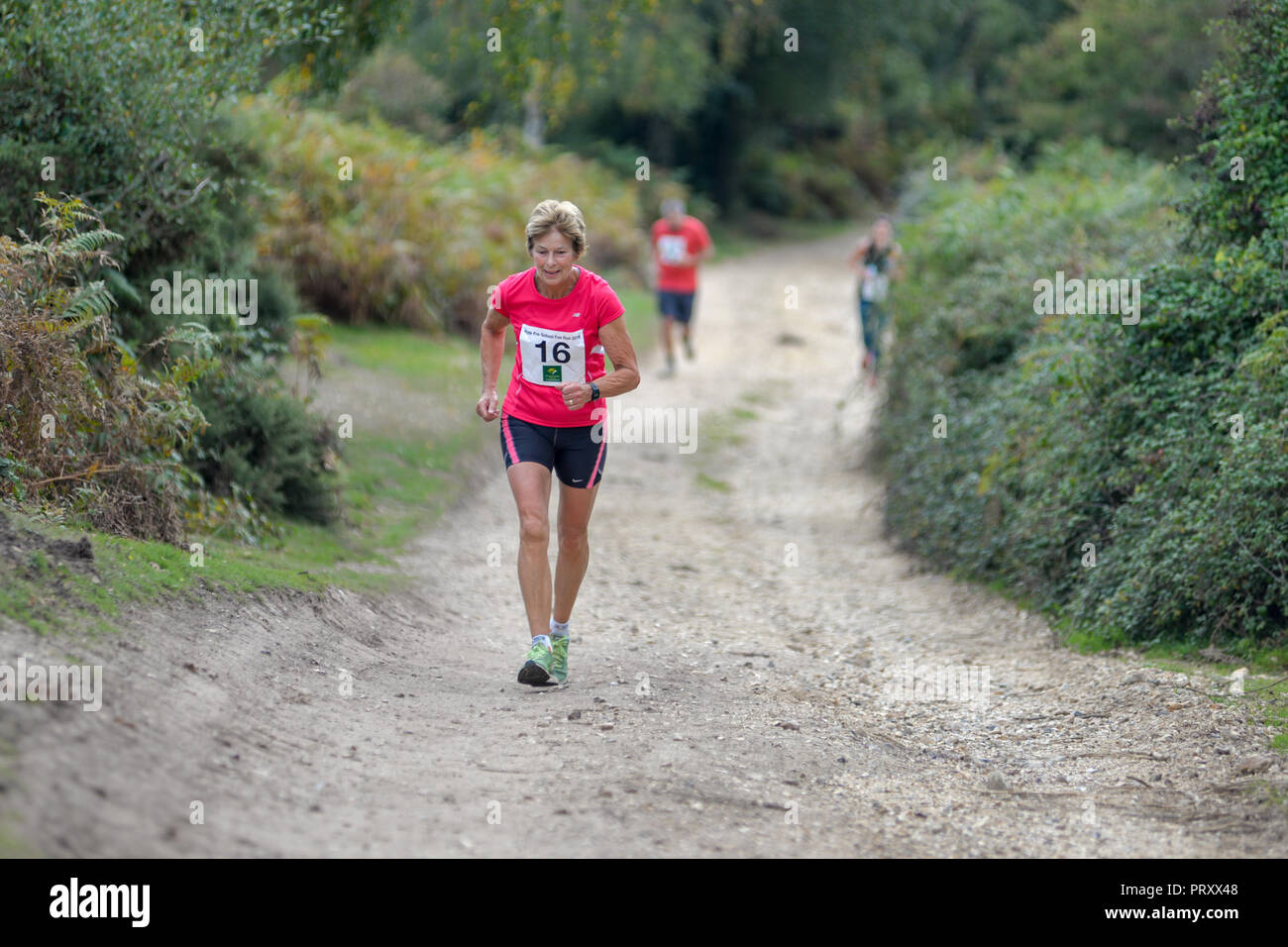 Runners in an amateur cross country running race, New Forest, Hampshire, UK Stock Photo