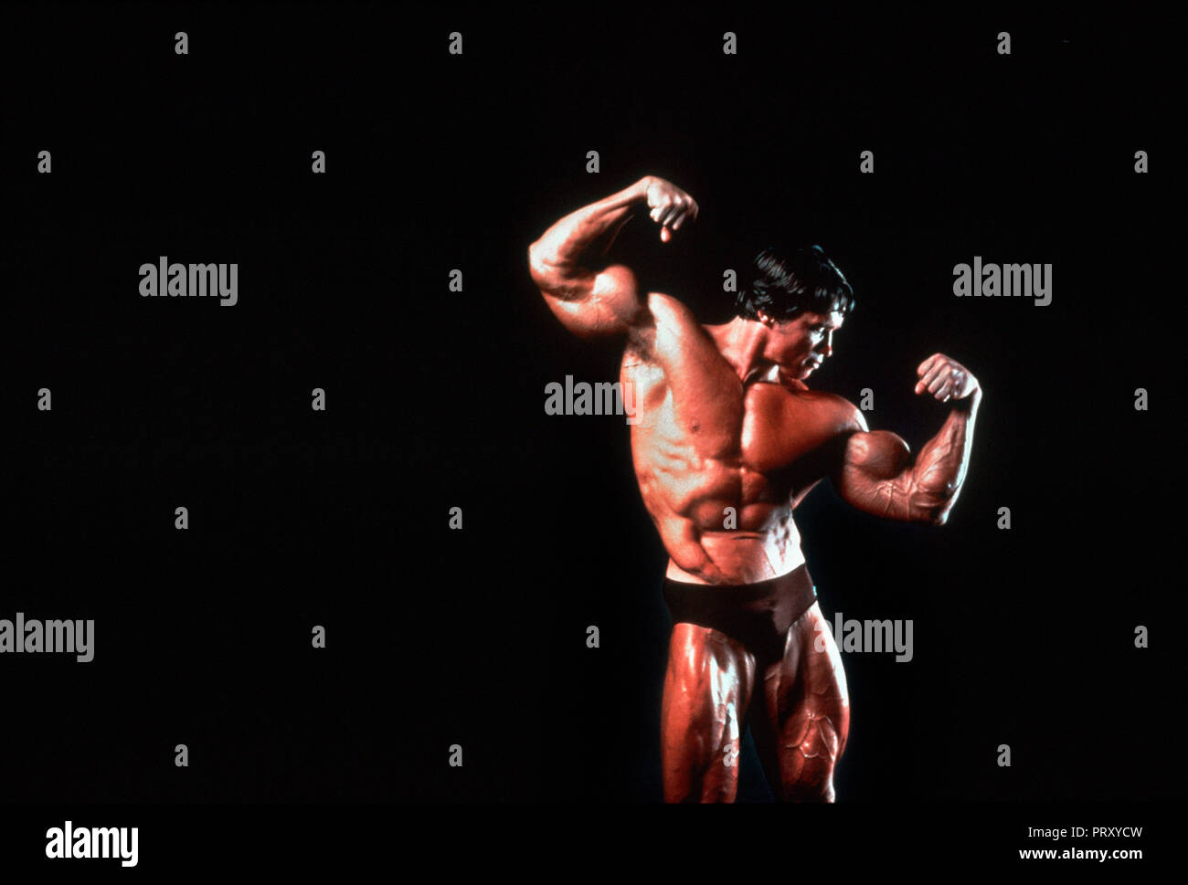 Arnold Schwarzenegger Bodybuilding Stock Photos Arnold Images, Photos, Reviews