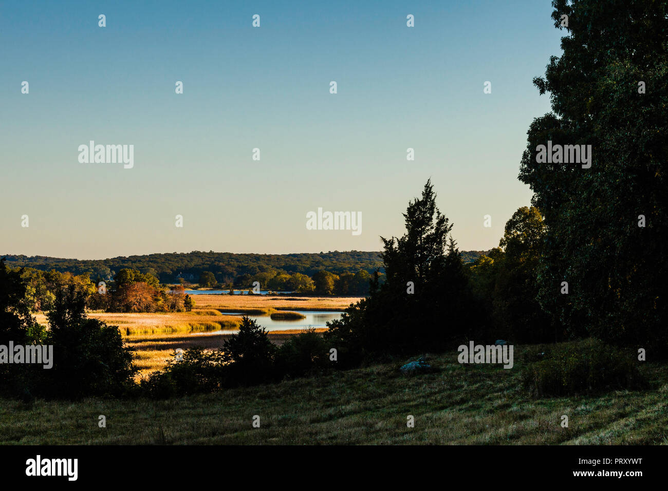 Hamburg cove hires stock photography and images Alamy