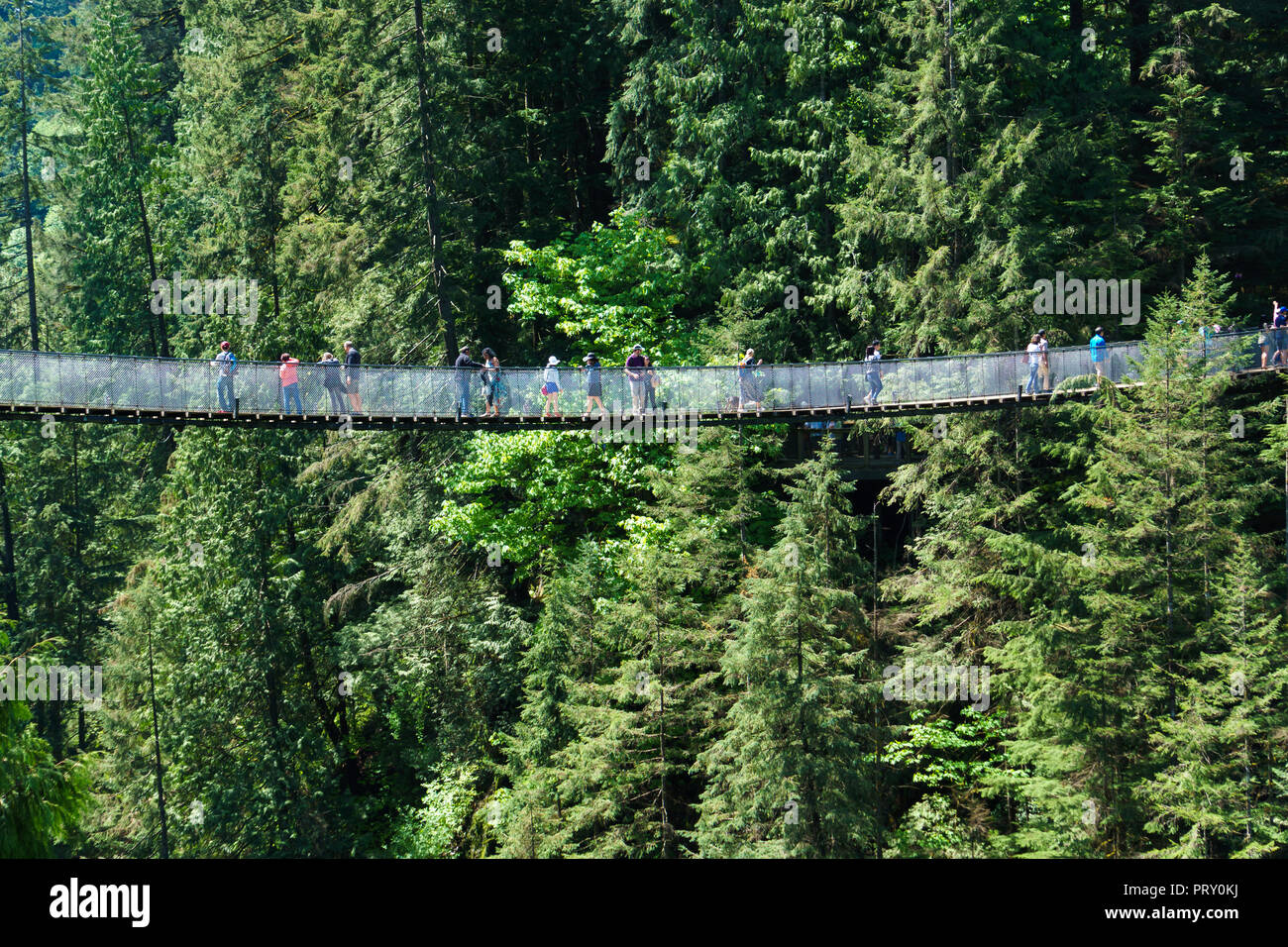 Capilano Suspension Bridge, North Vancouver, Canada Stock Photo Alamy