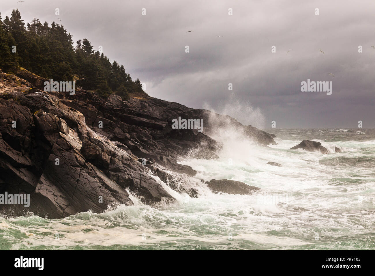 Christmas Cove Storm Monhegan Island, Maine, USA Stock Photo Alamy