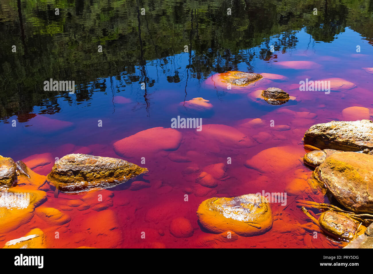 Arid stream sludge hi-res stock photography and images - Alamy