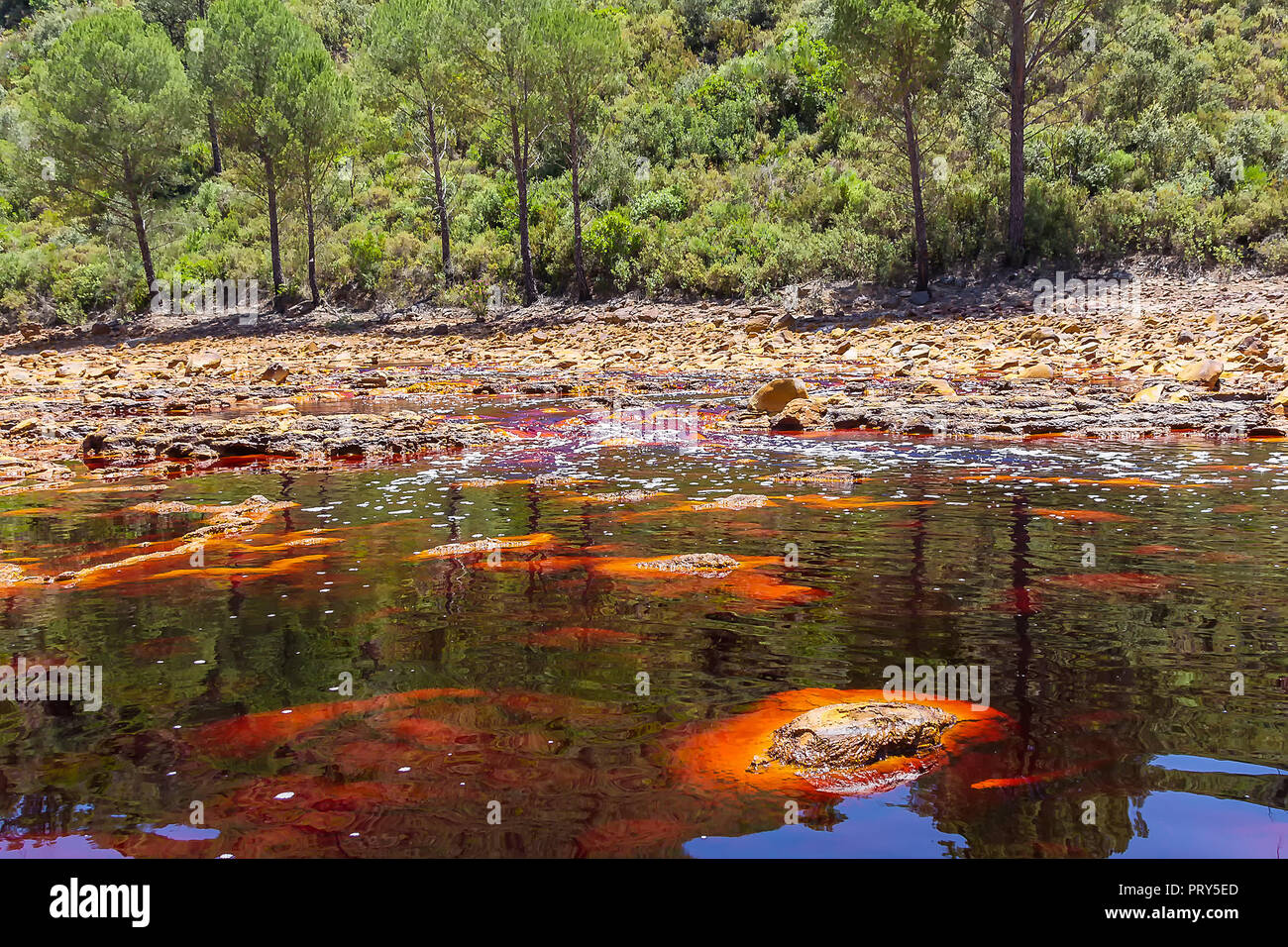 Stones in Rio Tinto river. The sludge coming from the mines of Rio ...