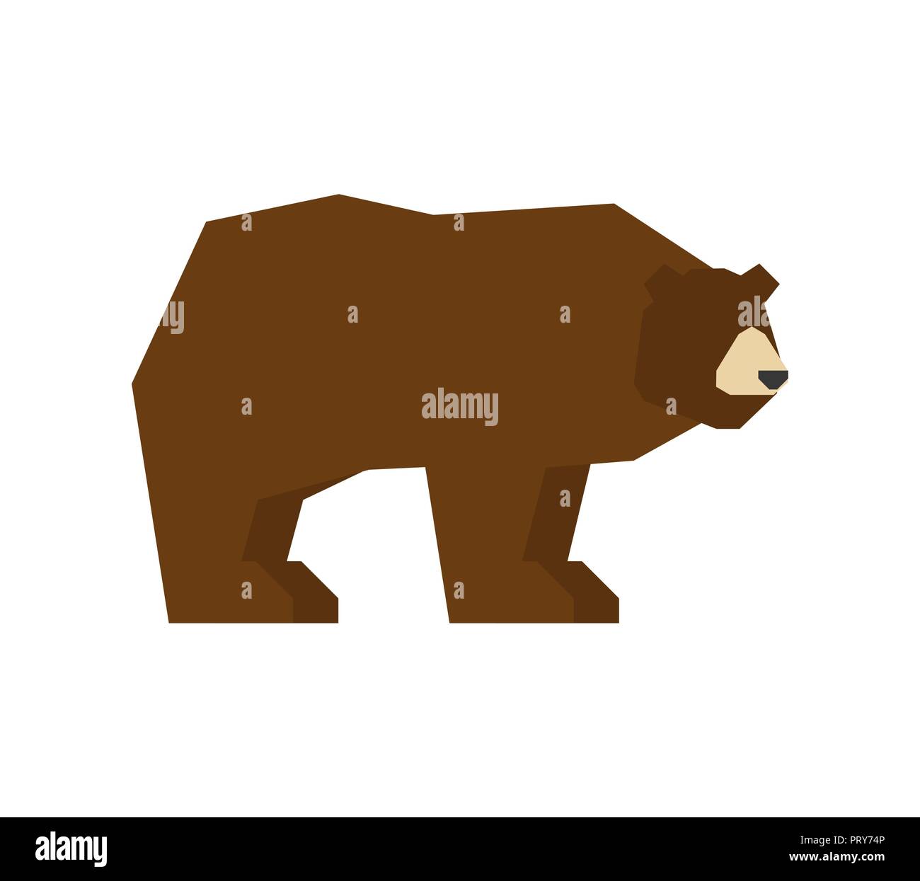 Bear isolated. Grizzly forest predator beast. Vector Stock Vector