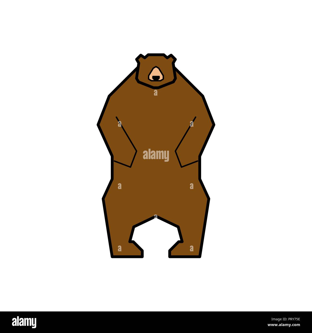 Bear standing isolated. Grizzly forest predator beast. Stock Vector
