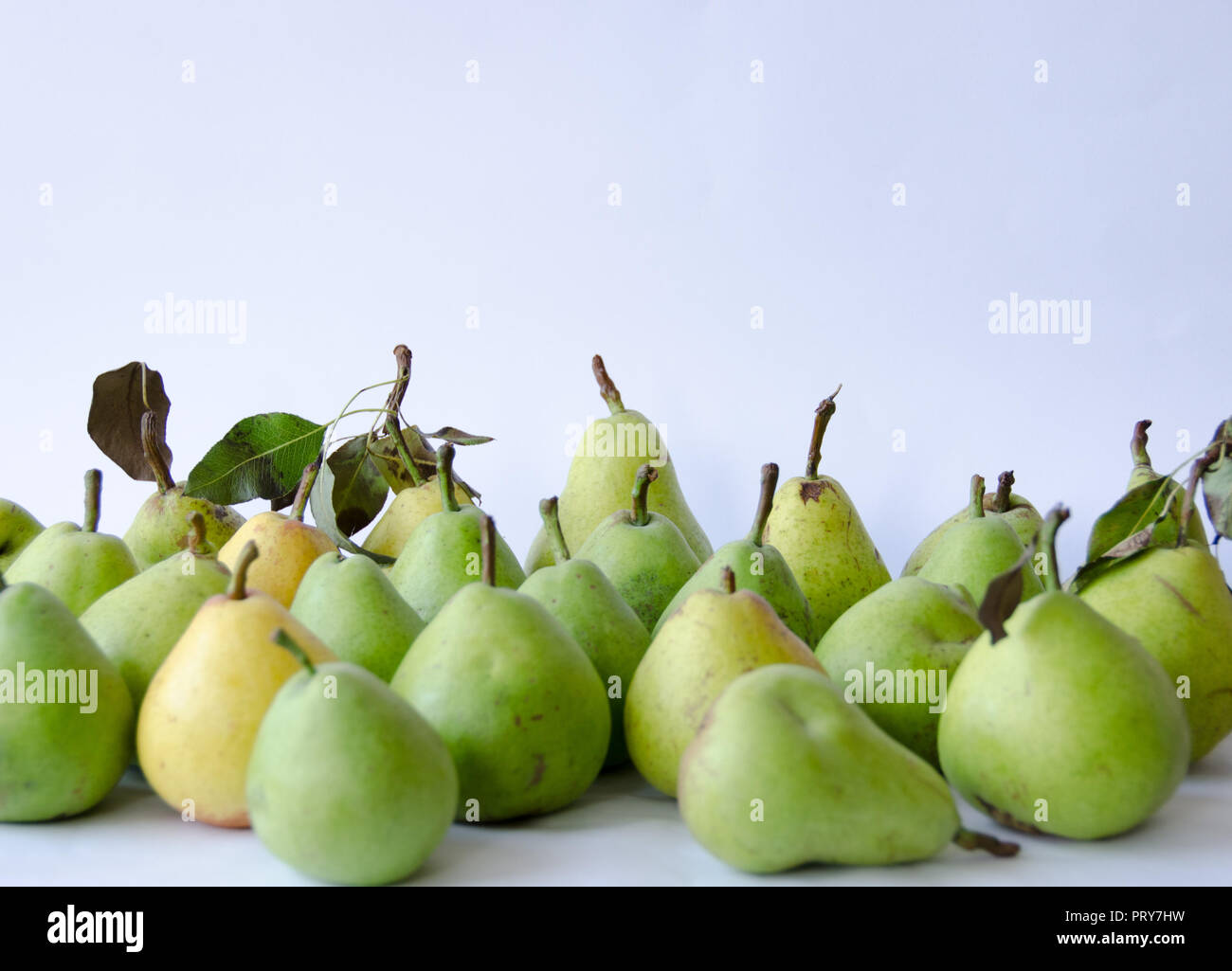A group of handpicked pears during autumn Stock Photo