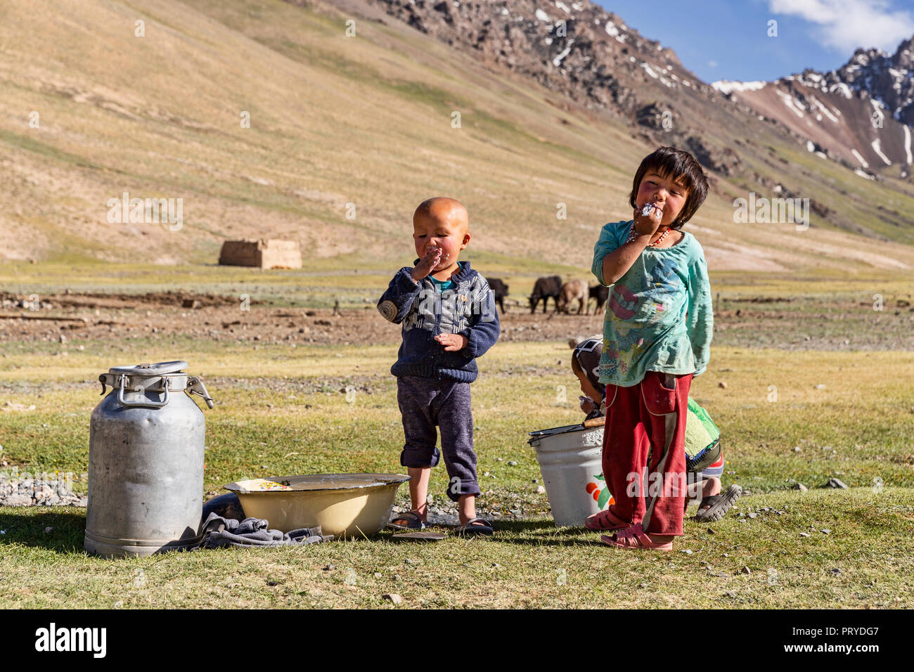 Kyrgyz nomad children eat freshly made qurut in the remote Pshart Valley, Gorno-Badakhshan Autonomous Region, Tajikistan. Stock Photo