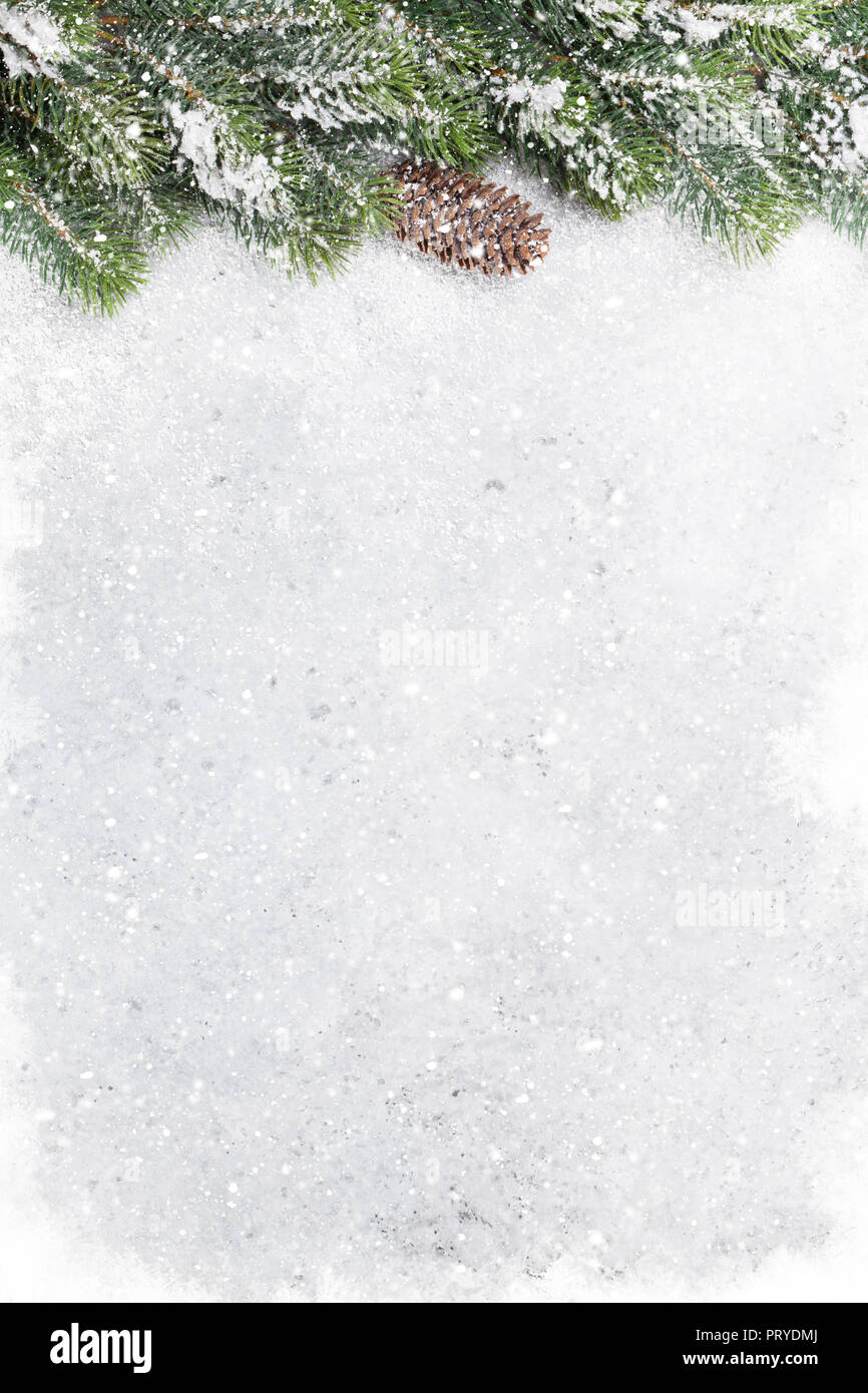 Christmas fir tree branch covered by snow on stone background. Xmas ...
