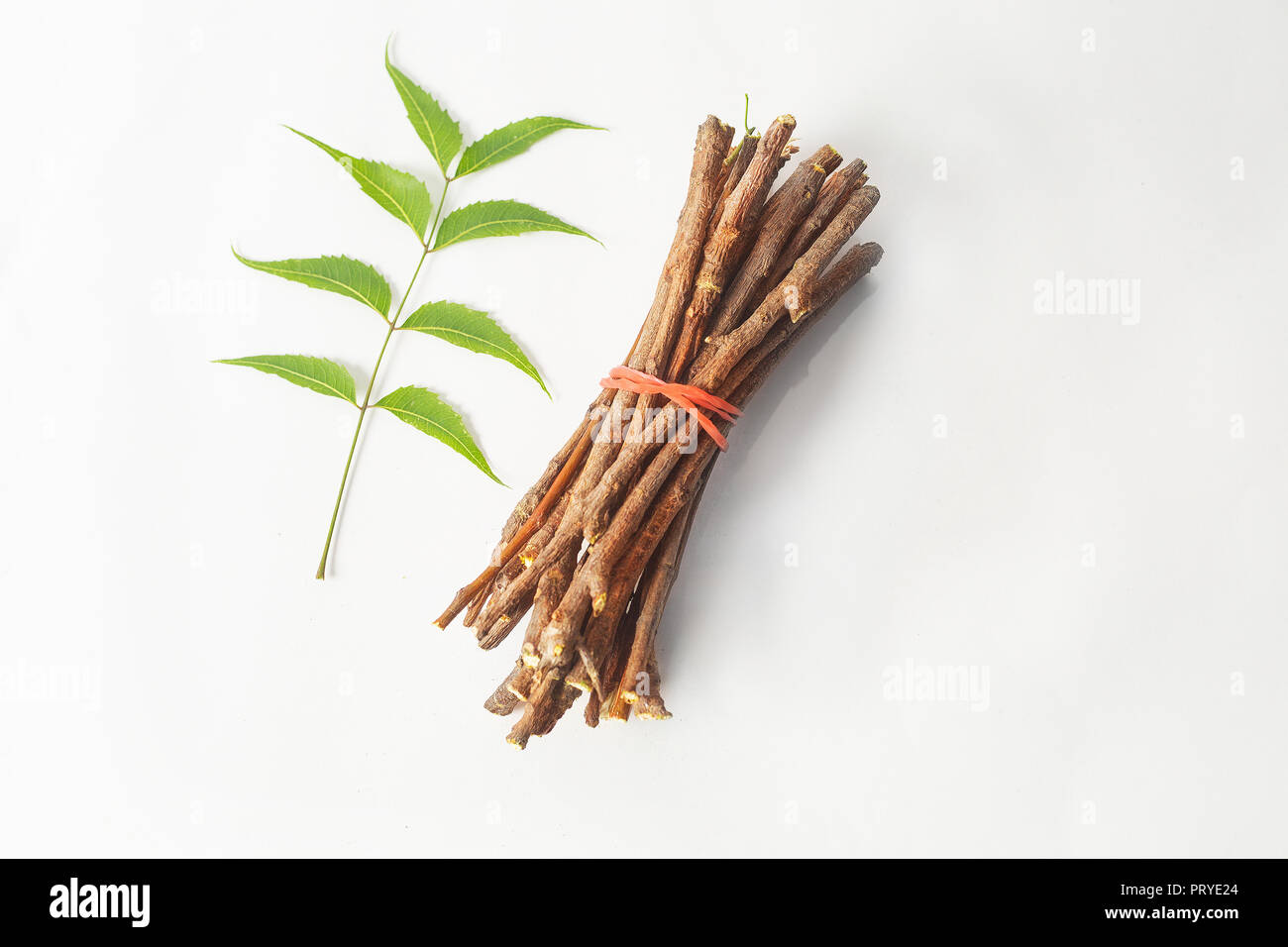 Neem wooden sticks with neem flowers and neem leaves. White isolated