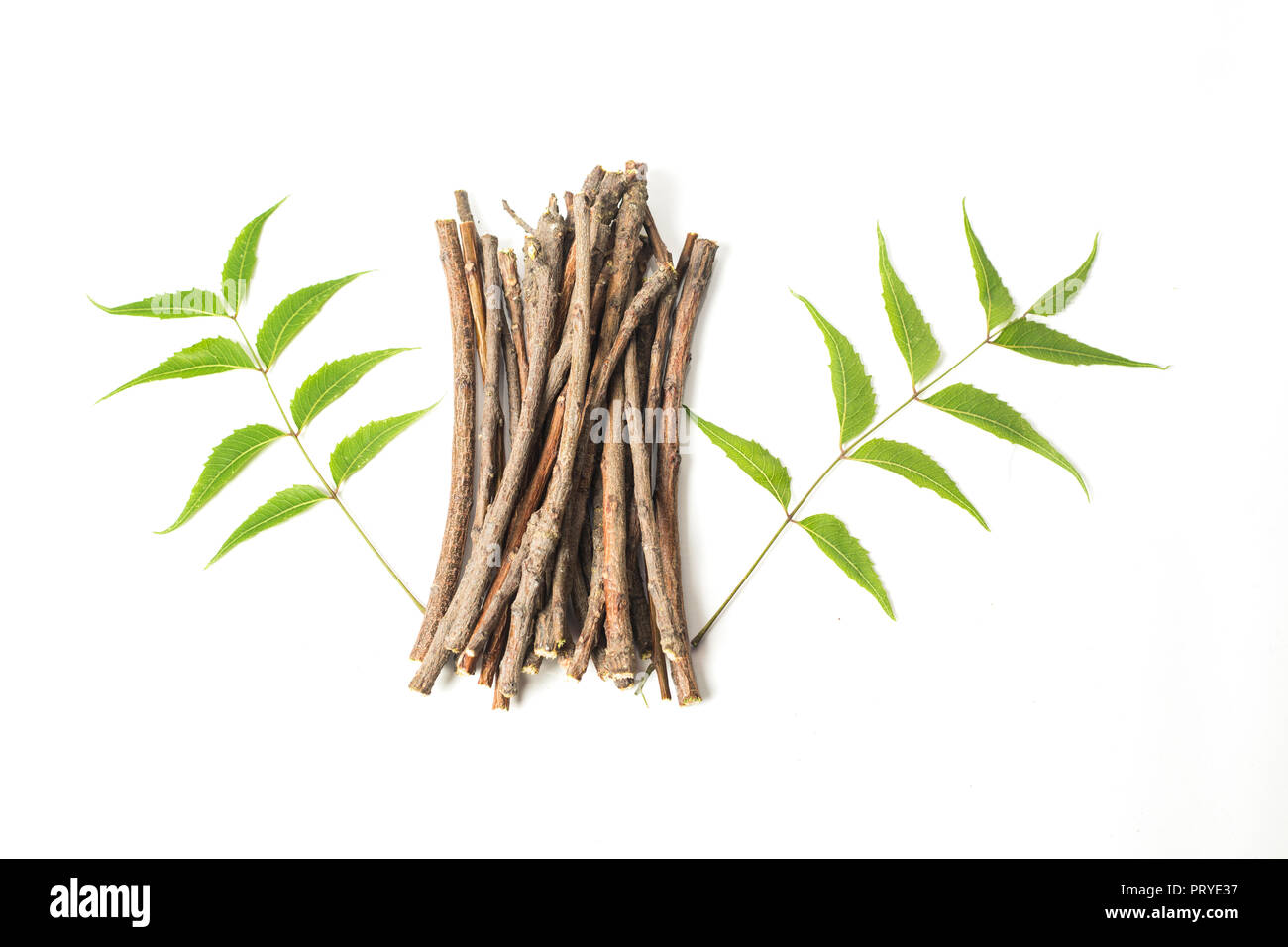 Neem sticks and Neem leaves. white isolated background Stock Photo Alamy